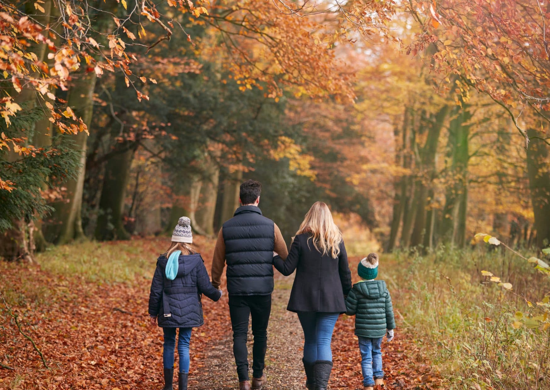 A family of four walking hand in hand along a woodland path beneath autumn leaves
